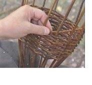 Päätellään loimien tyviosat